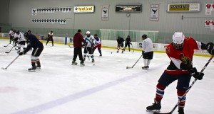 Hockey Skills Development, Osgoode, ON
